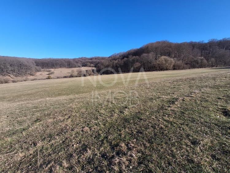 Ferma complet echipata de vanzare – zona Agnita, judetul Sibiu - 3