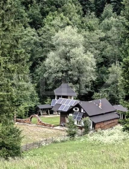 Cabana/Casa de vacanta in Molid, SV, 136 mp, teren cu 3300 mp, Iaz cu pesti - 15