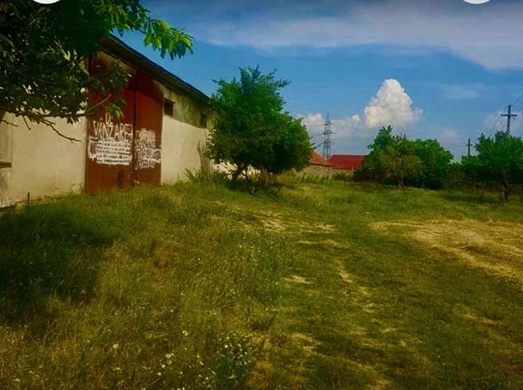 Spațiu comercial, în Punghina
