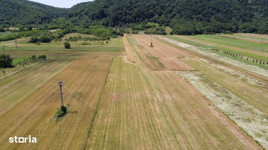 Teren de 5000 mp, în Măgureni
