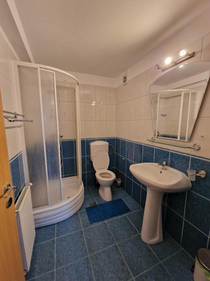 Apartament de închiriat, 3 camere, 100 mp, Zorilor Pădurii - 18