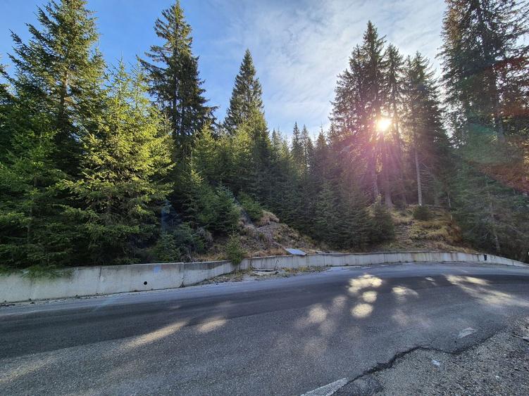 Teren Dichiu Transbucegi - 3