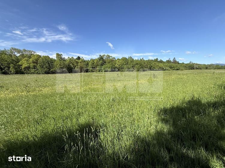 Teren de vanzare | Hardic | 2.300 mp - 8