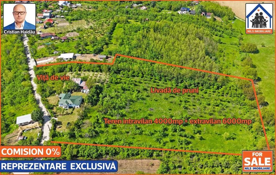 Casa renovata 141mp Teren 10.000mp | Podenii Vechi - PH - 3