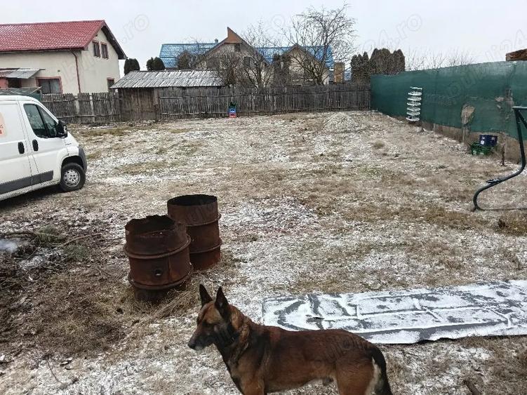 Teren de 800 mp, în Lilieci