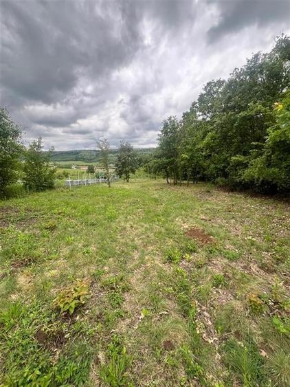 RECO teren de vanzare in zona Betfia - 8