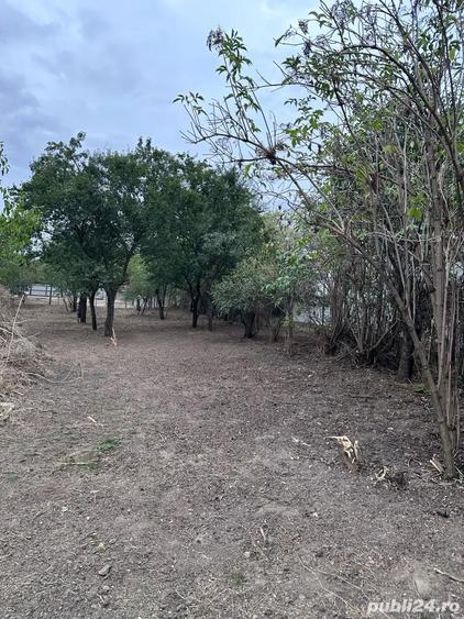 Casa Ciochina, Ialomi?a, 4 camere, 1610 mp teren - 1