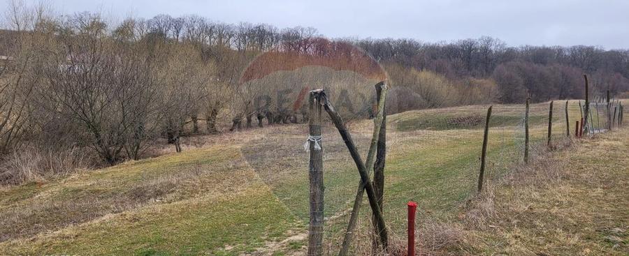 Teren 2925 mp comuna Mitocu Dragomirnei - 6