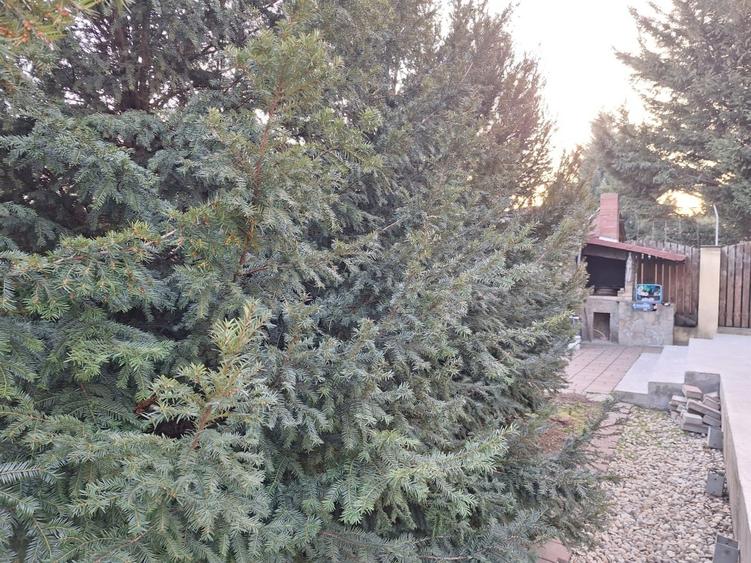 Cartierul Latin, Ghencea, Vila Noua P+1,  230 mp. 5 camere, curte 350mp, parcare - 9