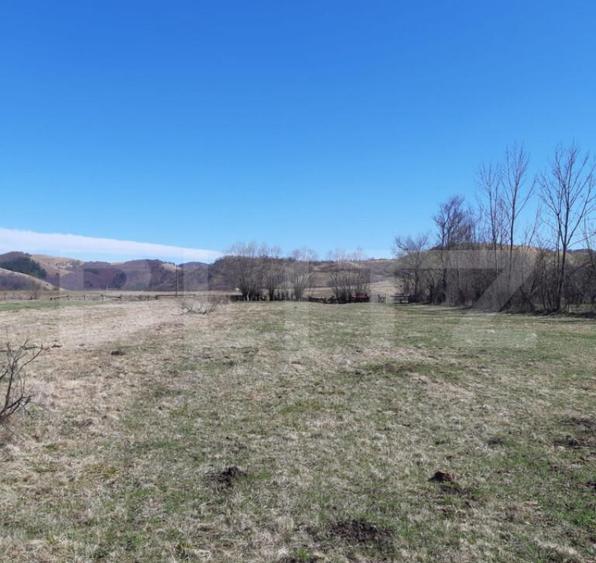 Teren extravilan 1.000 mp Valea Draganului - 1