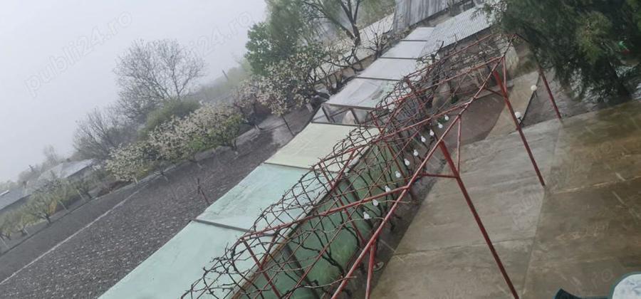 Casa + curte Chirnogi, jud.Calarasi - 10