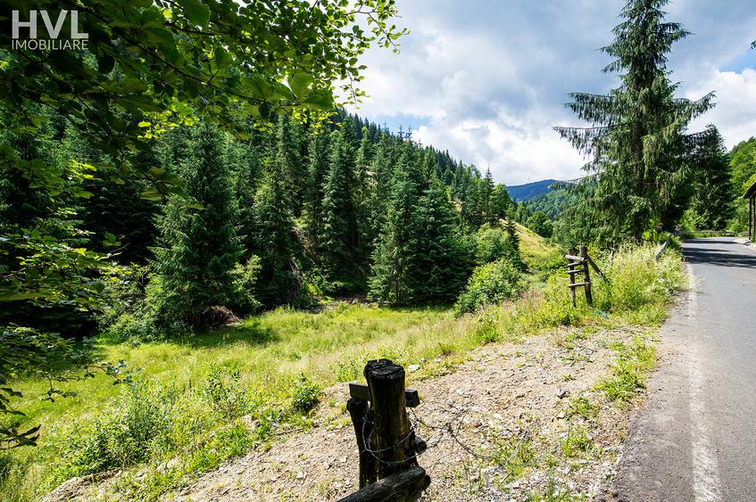 Teren curti constructii in Arieseni - 5