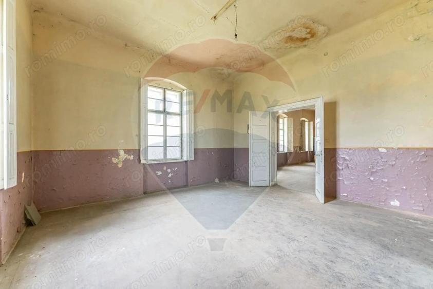 Conac aristocratic secolul XIX , domeniu 2,5 hectare Pauli?, Arad - 17