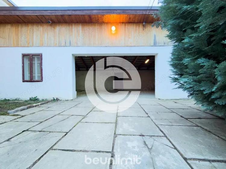 Bradul il mu?i u?or. Casa, mai rar! - 6