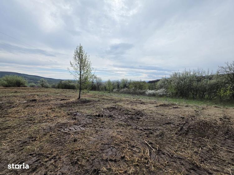 De vanzare teren intravilan Barsau, jud. Hunedoara - 8