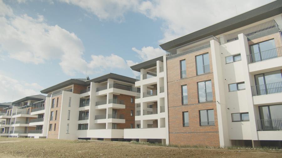 Studio | Parc Privat | Straulesti - LakeView Garden | Finisat - 4