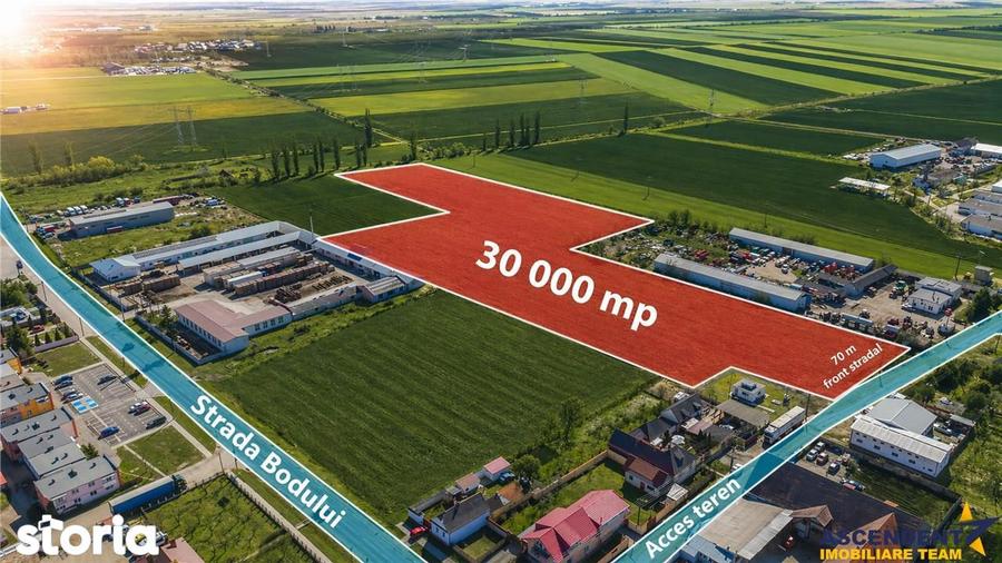 FILM! 10.000mp teren intravilan, Central, Halchiu, Brasov - 1