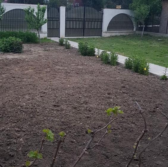 Vanzare casa vacanta - 2