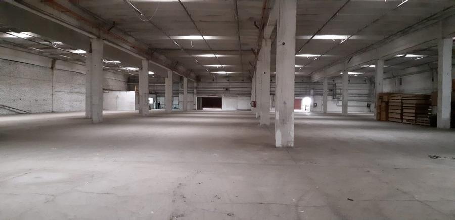 Imobilstar inchiriaza hala/ depozit 5000-12000 mp - 2