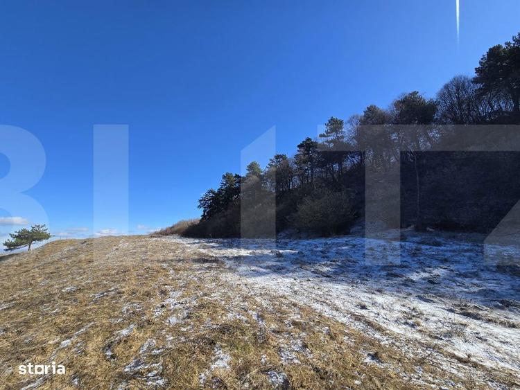 Teren intravilan 4000 mp | Panorama superba | Langa statia meteo - 8