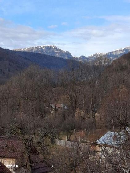 Casa 240 mp teren 720 mp Posada Prahova iesire DN1 3 dormitoare 70000 - 8