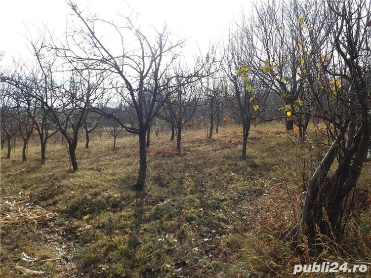 2 case ?i teren 3850m3 la ?ara - 6