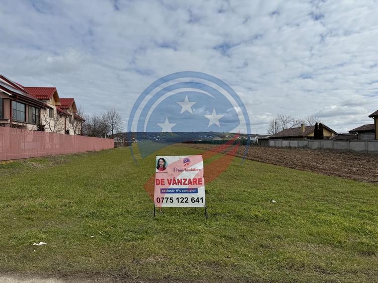 Teren de vanzare/Dudovicesti/Dolj - 2