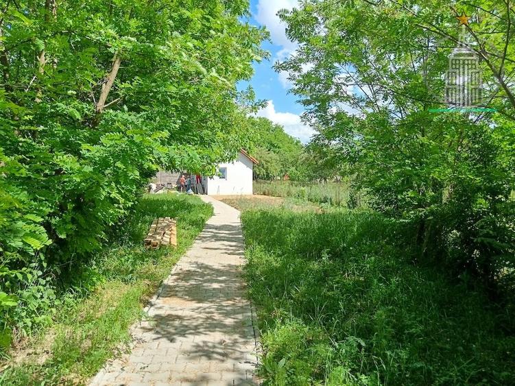 Casa individuala si teren de vanzare in Fagaras - 7