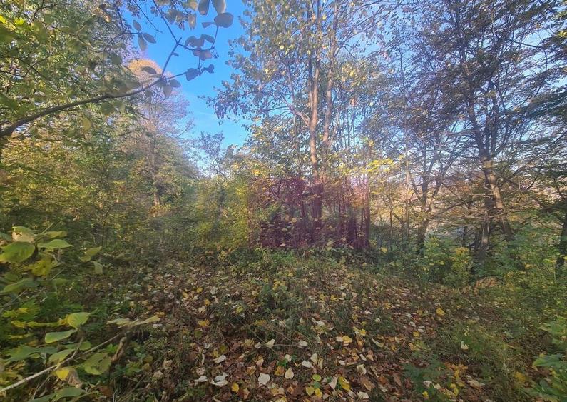 Teren intravilan de vanzare in Telega - 35