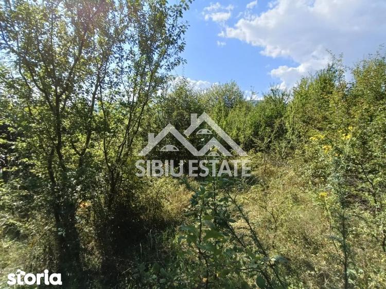 Teren construibil ,la sosea, intre Vale si Sibiel, zona cu potential - 3
