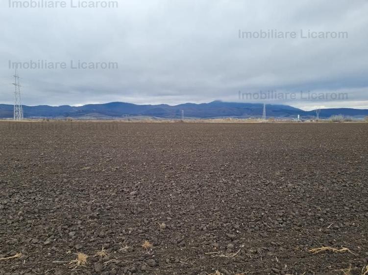 Teren extravilan 2,9 HA,intre Cristian si Vulcan - 3