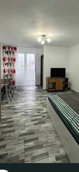 Garsoniera Tractorul- langa Coresi Mall- Pet Friendly  - 1