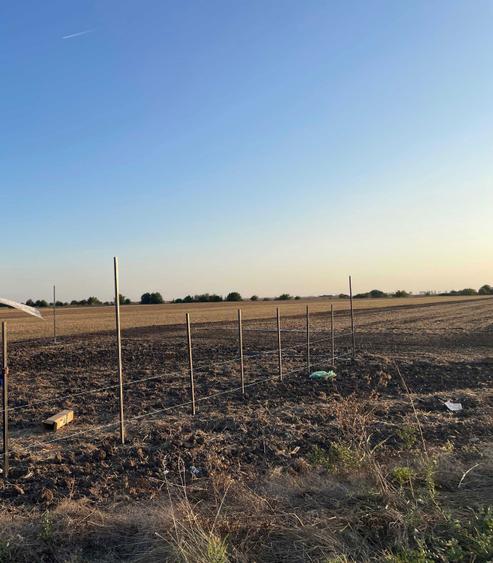 teren de vanzare - 3