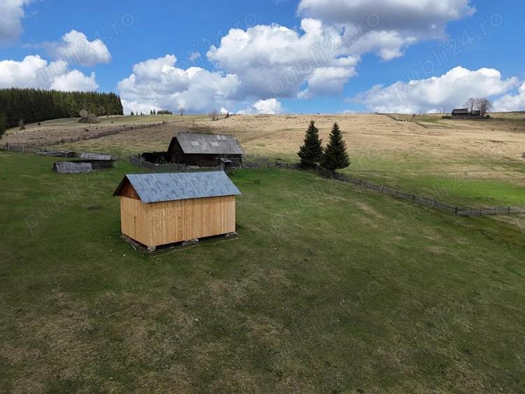 Teren de vanzare 15 hectare in Bucovina Moldova Sulita zona Lucina - 5