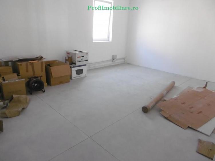 Hale de închiriat in Arad diverse zone aproape de autostrada A1 - 6