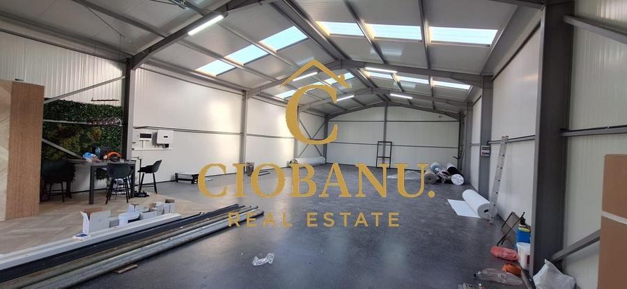 Hala de vanzare in Racarii de Jos - 13