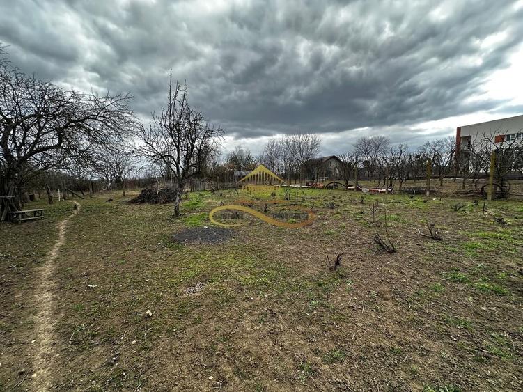 Teren Magura 2000 mp - intravilan -str. Intre Vii / Bacau - 4