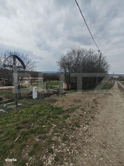 Teren intravilan 3000 mp, in Sandulesti - 2