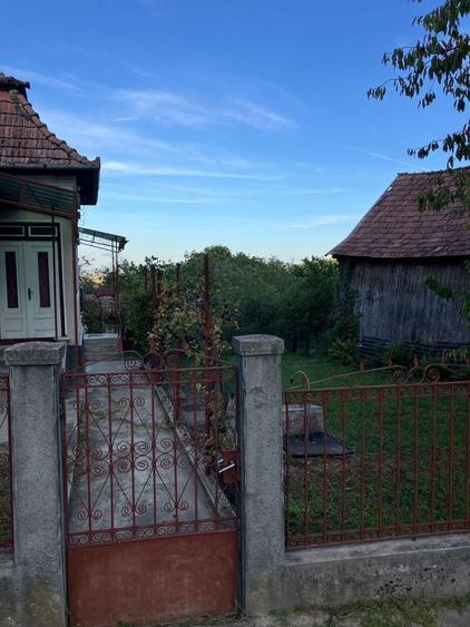 Casa cu gradina si pomi fructiferi - teren 2401 mp - loc. Moldovenesti - 6