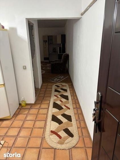Apartament Potile de Fier 2 Gogosu - 7