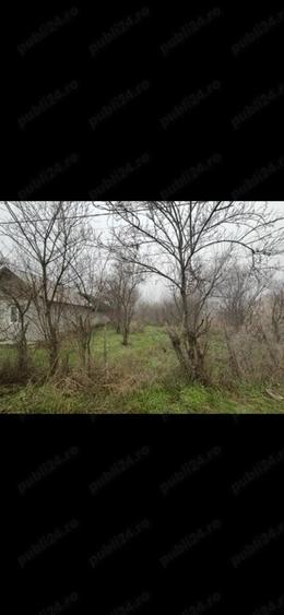 Teren vanzare + constructie 2499 mp electricitate+apa - 6