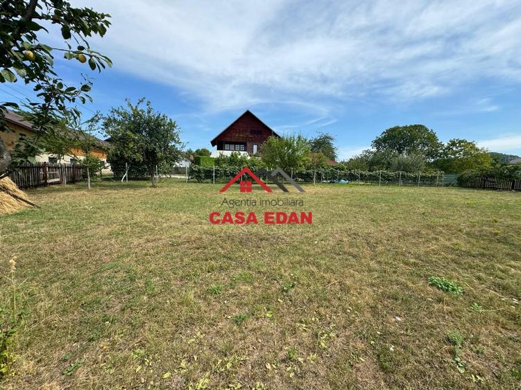 ●Teren in Campina--920mp--28.000e● - 6