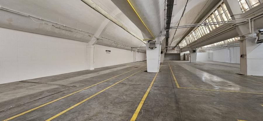 Pantelimon hala productie depozitare - 45