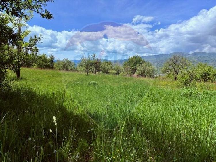 Teren 5,565mp Giulesti / Strada PRINCIPALA - 2