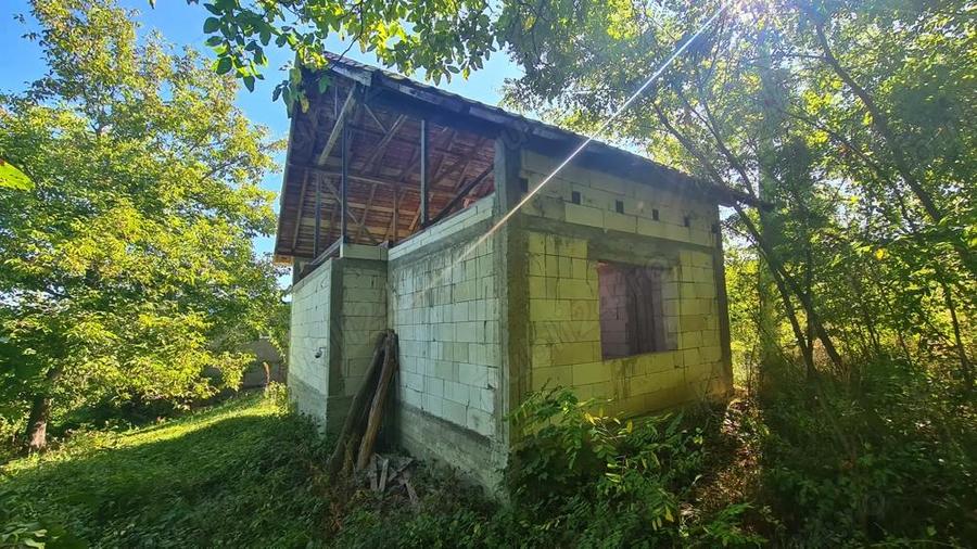 Casa la ro?u + 4391 mp teren de vanzare in comuna Valea Danului, sat Borobane?ti, jude? Arge?. - 20