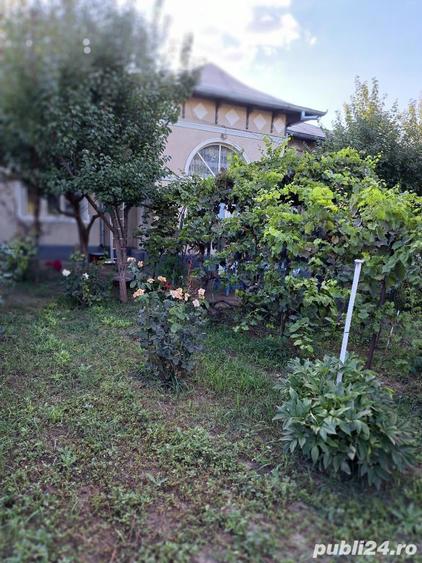 Vand casa Vaslui, Str. Florilor nr.5 - 5