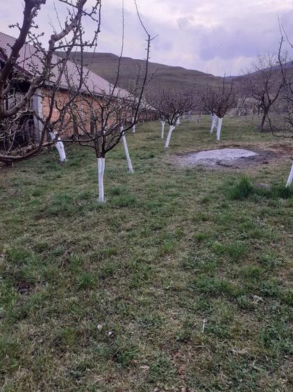 Vand teren extravilan livada - 8