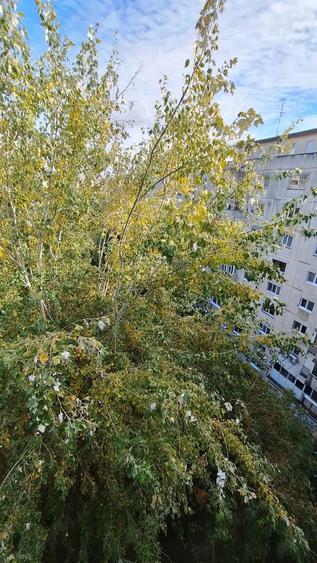 Vanzare garsoniera confort 1 sporit Brancoveanu - 1