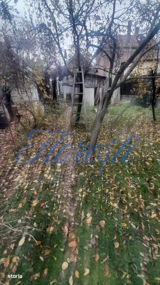 Casa individuala 2 camere 91 mp cu gradina 701 mp zona Muzeul Apei Flo - 4
