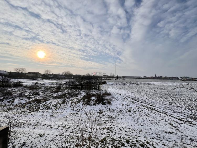 VILA 5 CAMERE lângă LAC și PADURE I Snagov - Vladiceasca I 450 MP Teren I NATURA - 11